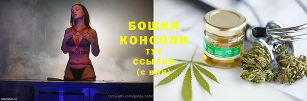 a pvp Магас