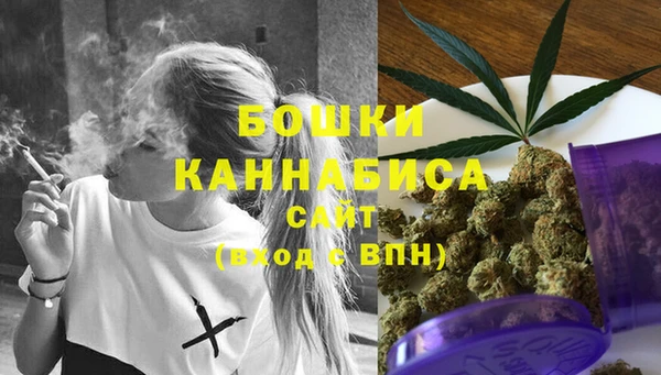 стафф Магадан