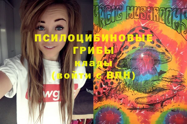 стафф Магадан
