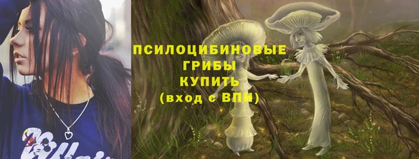 a pvp Магас