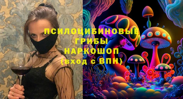 стафф Магадан
