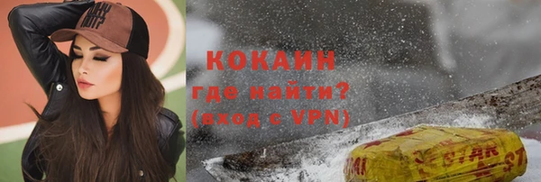 a pvp Магас