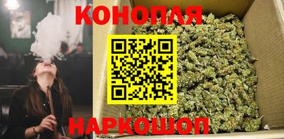 мдпв Кандалакша
