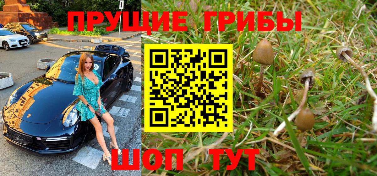 Галлюциногенные грибы Magic Shrooms  Вход с VPN  Нягань 